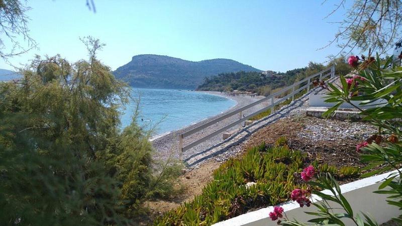 Ξενοδοχείο Ιάσων Γιόσωνας Εξωτερικό φωτογραφία
